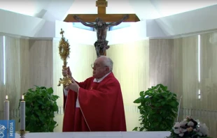 El Papa Francisco en la Misa de la Casa Santa Marta. Foto: Vatican Media  
