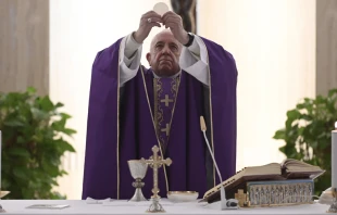 El Papa Francisco en la Misa de la Casa Santa Marta. Foto: Vatican Media  