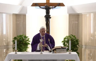 El Papa Francisco en la Misa de la Casa Santa Marta. Foto: Vatican Media  