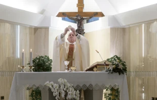 El Papa Francisco en la Misa de la Casa Santa Marta. Foto: Vatican Media  