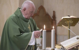 El Papa Francisco en la Misa de la Casa Santa Marta. Foto: Vatican Media  