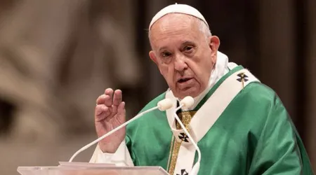 Homilía del Papa Francisco en la Misa de clausura del Sínodo de la Amazonía