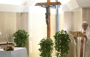 El Papa Francisco en la Misa de la Casa Santa Marta. Foto: Vatican Media  