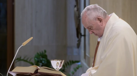 Papa Francisco advierte: u201cel cristianismo no es solo una u00e9ticau201d