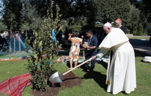 El Papa Francisco planta un u00e1rbol de Asu00eds en los jardines del Vaticano. Foto: Vatican Media 