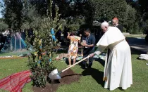 El Papa Francisco planta un árbol de Asís en los jardines del Vaticano. Foto: Vatican Media