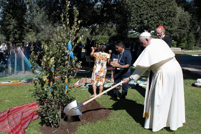 El Papa Francisco planta un árbol de Asís en la fiesta de San Francisco