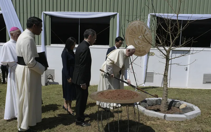 El Papa Francisco planta un Ã¡rbol baobab en Madagascar. Foto: Vatican Media