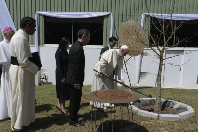 Papa Francisco en Madagascar planta un baobab y bendice sobrevivientes de epidemia 
