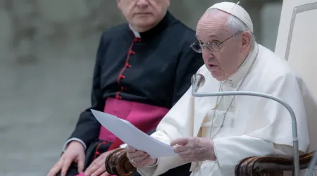 Catequesis del Papa Francisco sobre la longevidad como símbolo y oportunidad