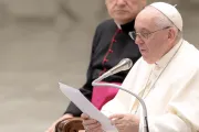 Catequesis del Papa Francisco sobre la catolicidad y la inculturación