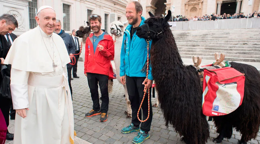 El Papa Francisco con los cuidadores y las llamas que llegaron a la Plaza de San Pedro - Foto: Vatican Media / ACI Prensa