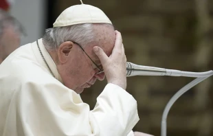 El Papa Francisco en la Audiencia general. Foto: Vatican Media 