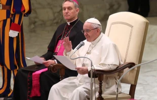 El Papa Francisco en el Aula Pablo VI en la catequesis de hoy. Foto: Daniel Ibu00e1u00f1ez (ACI Prensa) 