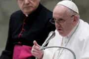 El Papa Francisco pide llevar la paz de Cristo con las “armas del Evangelio”