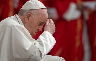 Papa Francisco. Cru00e9dito: Vatican Media 