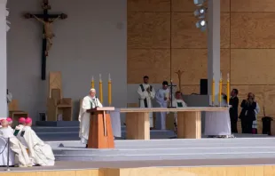 El Papa Francisco durante la Misa en el Parque O'Higgins / Foto: David Ramos (ACIPrensa) 