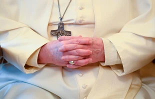 Papa Francisco / Cru00e9dito: Vatican Media 