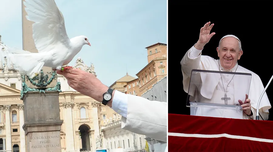 Recuerdan la vez que el Papa Francisco soltó palomas de la paz por Ucrania y algo salió mal