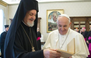 El Papa Francisco durante la audiencia. Foto: Vatican Media 