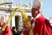 [FOTOS] Papa Francisco en Domingo de Ramos: Renunciemos al egoísmo, al poder y a la fama