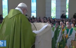 El Papa Francisco en la Misa del encuentro 'Libres del miedo'. Foto: Captura YouTube 