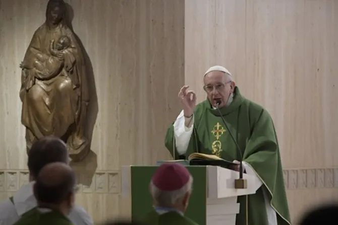 Papa Francisco: Conocer a Cristo nos cambia el corazón, la mente y renueva por dentro