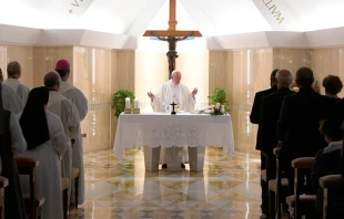 El Papa durante la Misa. Foto: L'Osservatore Romano 