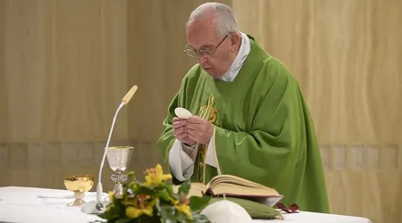El Papa Francisco explica qué es la santidad y propone 4 elementos