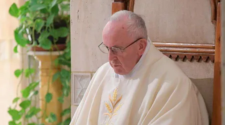 El Papa pide rezar por encuentro de obispos sobre protección de menores en la Iglesia