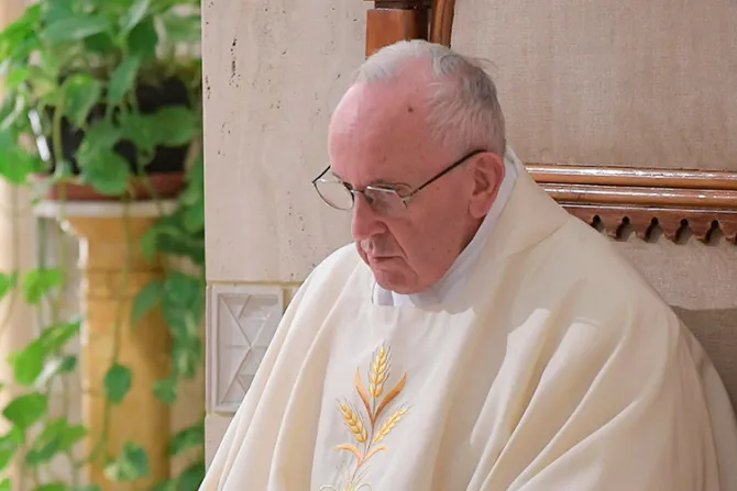 El Papa Francisco enseña cómo el cristiano debe insistir con la oración
