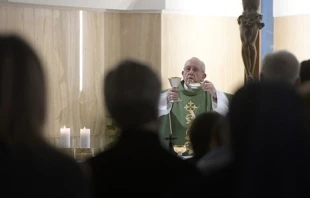 El Papa en la Misa. Foto: L'Osservatore Romano 