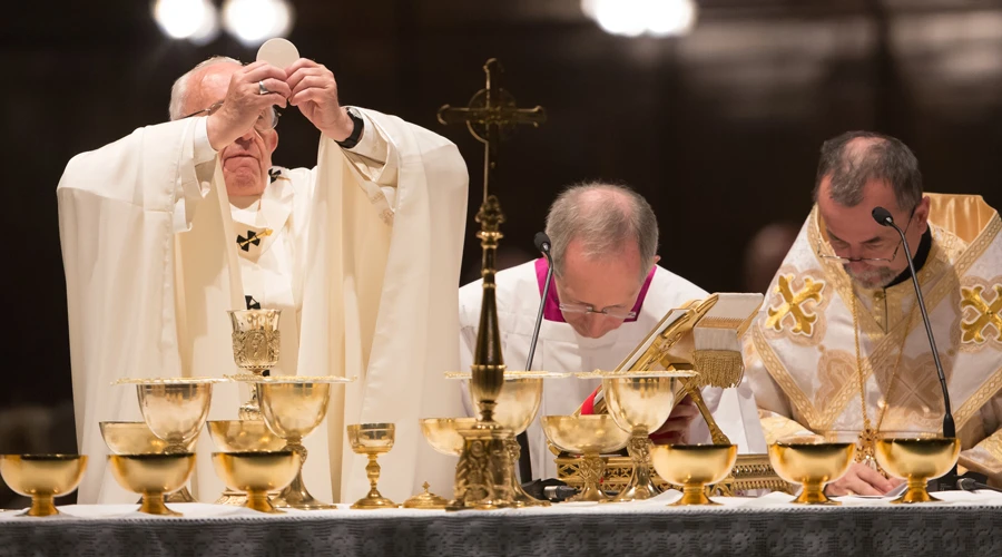 El Papa durante la Misa. Foto: Daniel Ibáñez / ACI Prensa