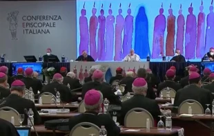 El Papa en la Asamblea General de la CEI. Foto: Captura 