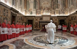 Imagen referencial. Consistorio ordinario pu00fablico en 2019. Foto: Vatican Media 