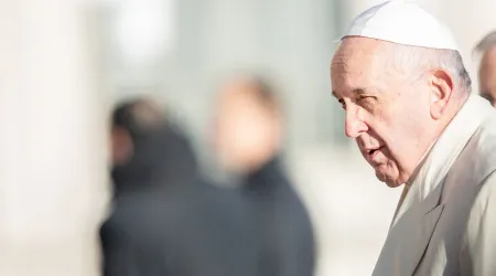El Papa Francisco pide escuchar el “amargo grito de la creación” y rezar por el planeta