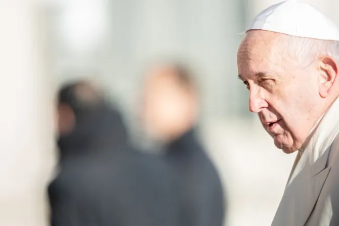 El Papa Francisco pide escuchar el “amargo grito de la creación” y rezar por el planeta