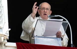 El Papa Francisco en el Regina Caeli de este 28 de mayo. Cru00e9dito: Vatican Media 