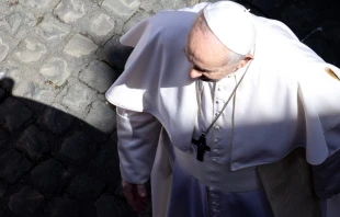 El Papa Francisco/Imagen referencial. Cru00e9dito: Daniel Ibau00f1ez/ACI Prensa 