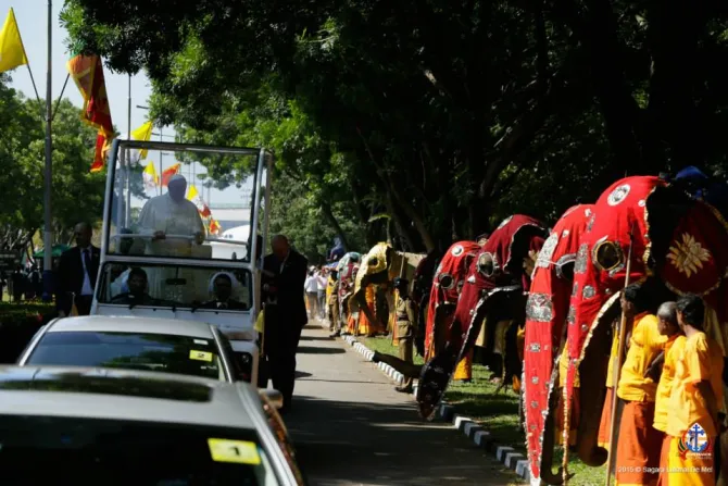 [FOTOS] Sri Lanka recibe al Papa Francisco con 40 elefantes