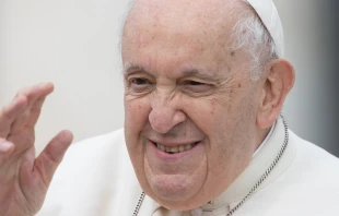 El Papa Francisco en la Audiencia General de este miu00e9rcoles. Cru00e9dito: Daniel Ibu00e1u00f1ez/ACI Prensa 