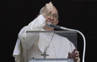 Papa Francisco en el rezo del u00c1ngelus. Cru00e9dito: Vatican Media 