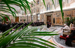 Audiencia del Papa con seminaristas de Estados Unidos. Cru00e9dito: Vatican Media 