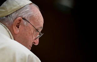 Papa Francisco/Imagen referencial. Cru00e9dito: Vatican Media 