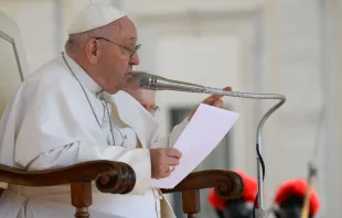 El Papa Francisco en la Audiencia General. Crédito: Vatican Media 
