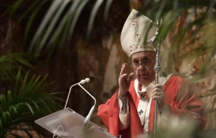 Papa Francisco en el Domingo de Ramos. Foto: Vatican Media 