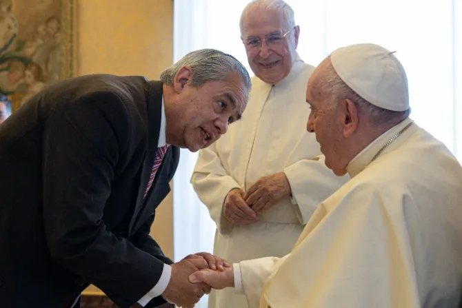 El Papa Francisco pide a historiadores de la Iglesia trabajar al servicio de la paz