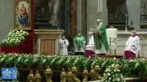 Papa Francisco en el Vaticano. Foto: Captura video