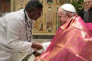Papa Francisco a misioneros: El apóstol de Jesucristo no hace proselitismo