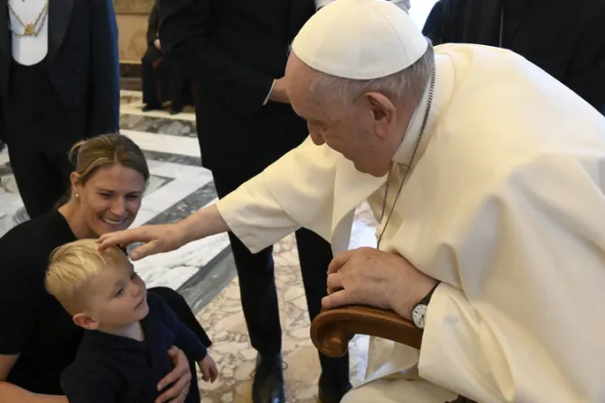 El Papa pide continuar con la promoción de la vida a Pontificia Academia para la Vida